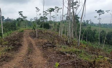 VENDO 11.000 M2 TERRENO CON PLANTA DE BOYA, PUERTO QUITO