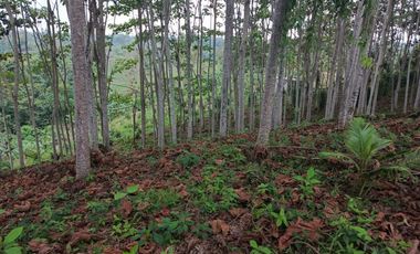 VENDO 11.000 M2 TERRENO CON PLANTA DE BOYA, PUERTO QUITO