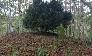 VENDO 11.000 M2 TERRENO CON PLANTA DE BOYA, PUERTO QUITO