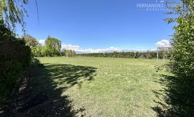 SAN FELIPE - VENDE PARCELA CON QUINCHO Y PISCINA - CURIMON