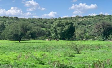 BARATAS 9.3 HECTAREAS EN COMUNIDAD XOCONOSTLE EN DOL-HIDALGO CON M3 CUBICOS O SIN AGUA DE OPORTUNIDAD