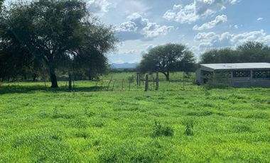 BARATAS 9.3 HECTAREAS EN COMUNIDAD XOCONOSTLE EN DOL-HIDALGO CON M3 CUBICOS O SIN AGUA DE OPORTUNIDAD