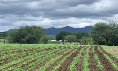 BARATAS 9.3 HECTAREAS EN COMUNIDAD XOCONOSTLE EN DOL-HIDALGO CON M3 CUBICOS O SIN AGUA DE OPORTUNIDAD