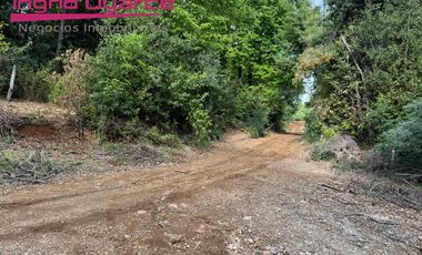 VENDO BELLA PARCELA CAMINO A  LAS TERMAS DE CHILLAN Y CERCANA A NUEVO EMBALSE DIGUILLIN PINTO