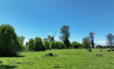 PARCELAS CON FINES INDUSTRIALES CERCA OSORNO
