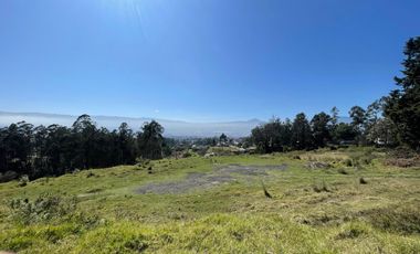 Terreno en Venta en Conocoto, Sector La Macarena I