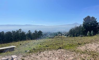 Terreno en Venta en Conocoto, Sector La Macarena I