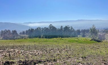 Terreno en Venta en Conocoto, Sector La Macarena I
