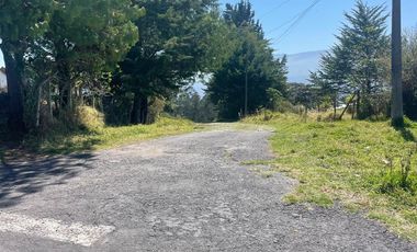 Terreno en Venta en Conocoto, Sector La Macarena I