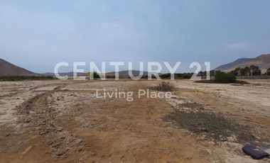 Vendo Terreno Plano Ideal Para Proyecto Inmobiliario, Condominio en Pucusana