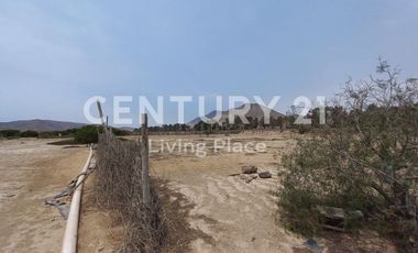 Vendo Terreno Plano Ideal Para Proyecto Inmobiliario, Condominio en Pucusana
