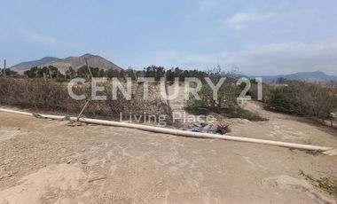 Vendo Terreno Plano Ideal Para Proyecto Inmobiliario, Condominio en Pucusana