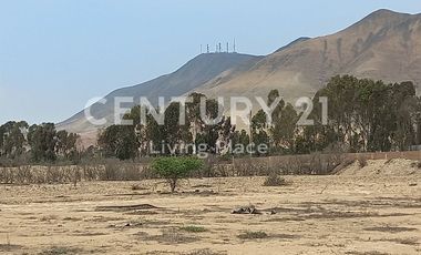 Vendo Terreno Plano Ideal Para Proyecto Inmobiliario, Condominio en Pucusana
