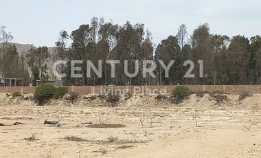 Vendo Terreno Plano Ideal Para Proyecto Inmobiliario, Condominio en Pucusana