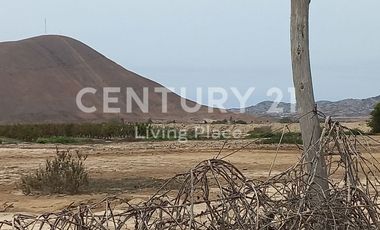 Vendo Terreno Plano Ideal Para Proyecto Inmobiliario, Condominio en Pucusana