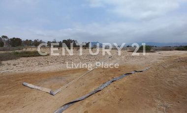 Vendo Terreno Plano Ideal Para Proyecto Inmobiliario, Condominio en Pucusana