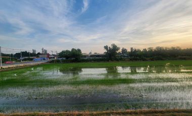 บ้าน ลำลูกกา​ คลอง7​ บึงคำพร้อย​  หมู่บ้านอนันธารา​ ทำเลติดถนนคลอง7​  ไม่เข้าซอย​ เนื้อที่​ 21​ ตรว​   เดินเข้าออกสะดวก