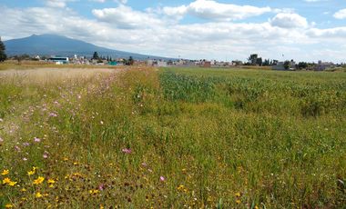 TERRENO EN VENTA EN ATLAHAPA