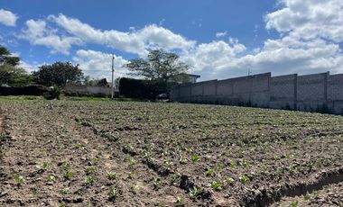 Terreno en Venta en Exclusiva Urbanización Algarrobos, Puembo