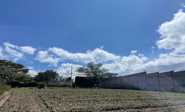 Terreno en Venta en Exclusiva Urbanización Algarrobos, Puembo