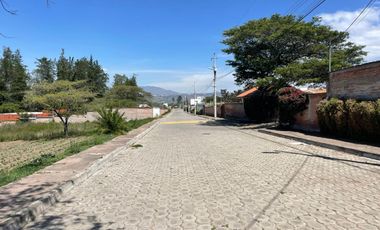 Terreno en Venta en Exclusiva Urbanización Algarrobos, Puembo