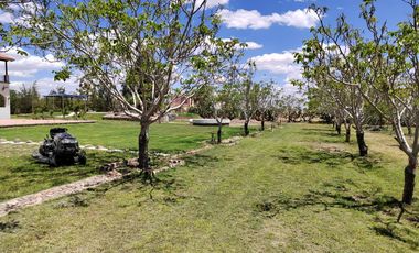 ¡Oportunidad Única! Encantadora Finca en Venta en la Ruta del Vino
