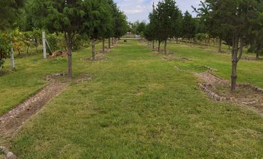 ¡Oportunidad Única! Encantadora Finca en Venta en la Ruta del Vino