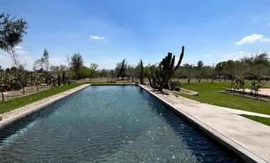 ¡Oportunidad Única! Encantadora Finca en Venta en la Ruta del Vino