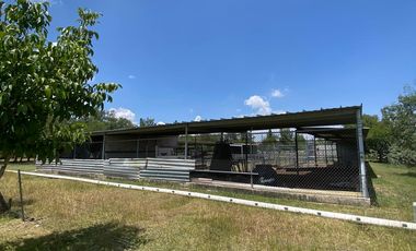 ¡Oportunidad Única! Encantadora Finca en Venta en la Ruta del Vino