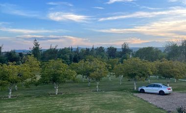 ¡Oportunidad Única! Encantadora Finca en Venta en la Ruta del Vino