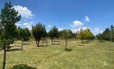 ¡Oportunidad Única! Encantadora Finca en Venta en la Ruta del Vino