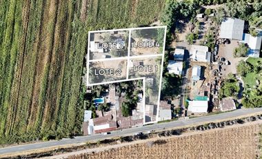 SAN ESTEBAN - VENDE TERRENO DE 3.368m2 CON 4 LOTEOS - LOS OLMOS