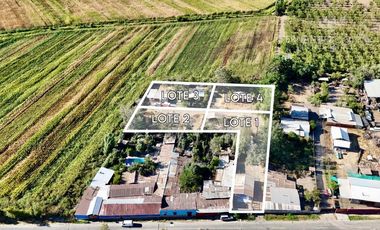 SAN ESTEBAN - VENDE TERRENO DE 3.368m2 CON 4 LOTEOS - LOS OLMOS