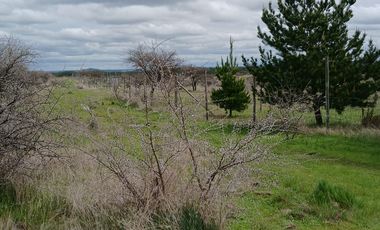 VENTA PARCELA EN SAN JAVIER
