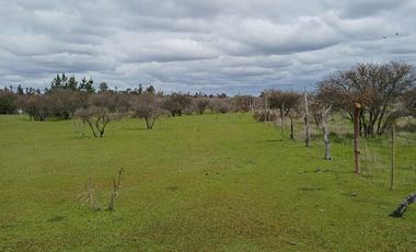 VENTA PARCELA EN SAN JAVIER