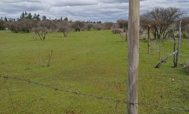 VENTA PARCELA EN SAN JAVIER