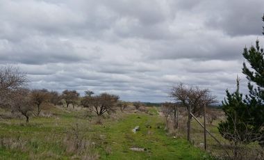 VENTA PARCELA EN SAN JAVIER