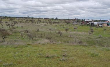VENTA HERMOSA PARCELA EN SAN JAVIER , SECTOR SANTA ROSA PURAPEL