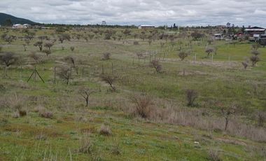 VENTA HERMOSA PARCELA EN SAN JAVIER , SECTOR SANTA ROSA PURAPEL