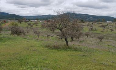 VENTA HERMOSA PARCELA EN SAN JAVIER , SECTOR SANTA ROSA PURAPEL