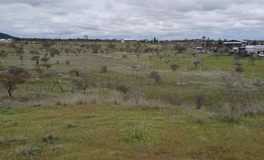 VENTA HERMOSA PARCELA EN SAN JAVIER , SECTOR SANTA ROSA PURAPEL