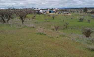 VENTA HERMOSA PARCELA EN SAN JAVIER , SECTOR SANTA ROSA PURAPEL
