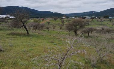 VENTA HERMOSA PARCELA EN SAN JAVIER , SECTOR SANTA ROSA PURAPEL