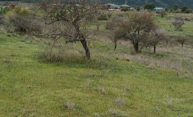 VENTA HERMOSA PARCELA EN SAN JAVIER , SECTOR SANTA ROSA PURAPEL
