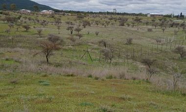 VENTA HERMOSA PARCELA EN SAN JAVIER , SECTOR SANTA ROSA PURAPEL