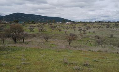 VENTA HERMOSA PARCELA EN SAN JAVIER , SECTOR SANTA ROSA PURAPEL