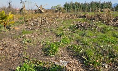 SE VENDE ESPACIOSA CASA CON TERRENO EN COMALLE