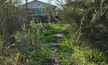 SE VENDE ESPACIOSA CASA CON TERRENO EN COMALLE