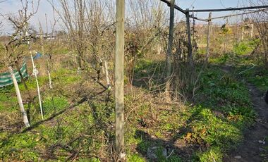 SE VENDE ESPACIOSA CASA CON TERRENO EN COMALLE