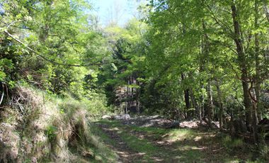 2 HA 2 HA DE TERRENO EN ALTURA CON BOSQUE NATIVO, ESTERO Y PRECIOSA VISTA AL VALLE
